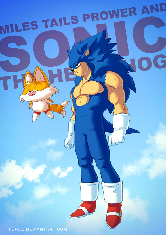 sonic_by_tohad-d7nqoml
