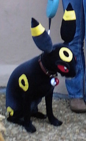 umbreon_costume_by_leafeon_ex-d4eh9ib